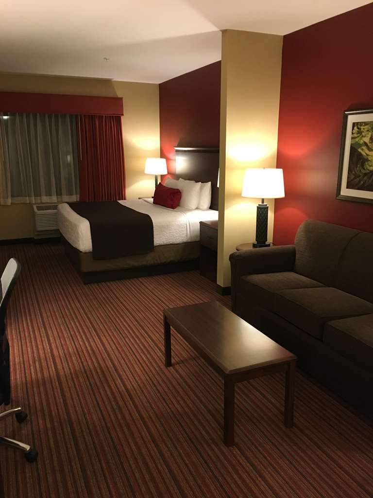 เบสต์ เวสเทิร์น พลัส ฮัดสัน โฮเต็ล แอนด์ สวีท Hotel Hudson ห้อง รูปภาพ